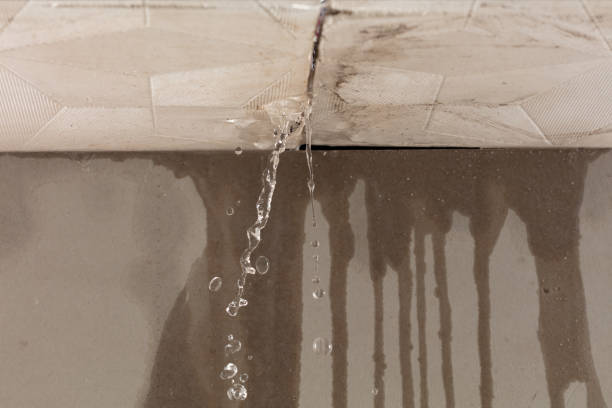 Professional Sewage Cleanup technician working in Michie, TN